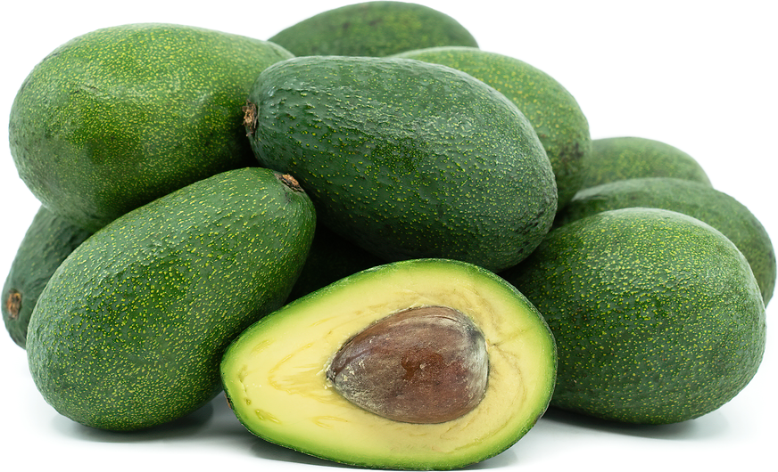 Fuerte Avocados